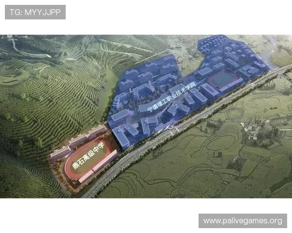 A体育全景解析:从赛事报道到运动文化深度探究与发展趋势